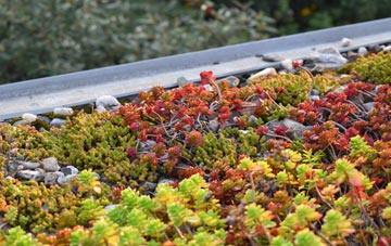 the cost of Denham Green green roof installation