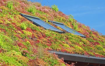 Denham Green living roof systems